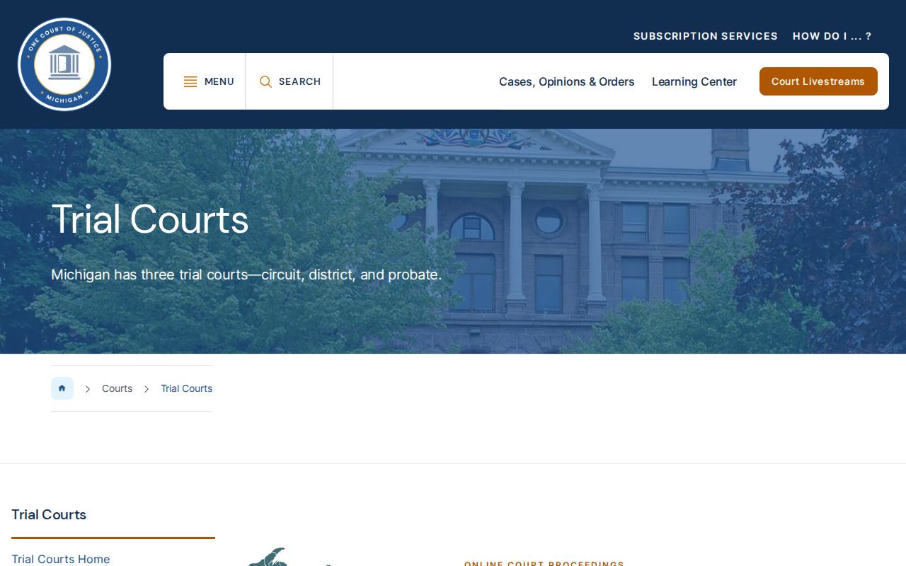 Michigan trial courts for Iron County criminal court cases